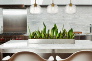 Harmony 3 Light 36" Linear Pendant in Olde Brass in a room setting