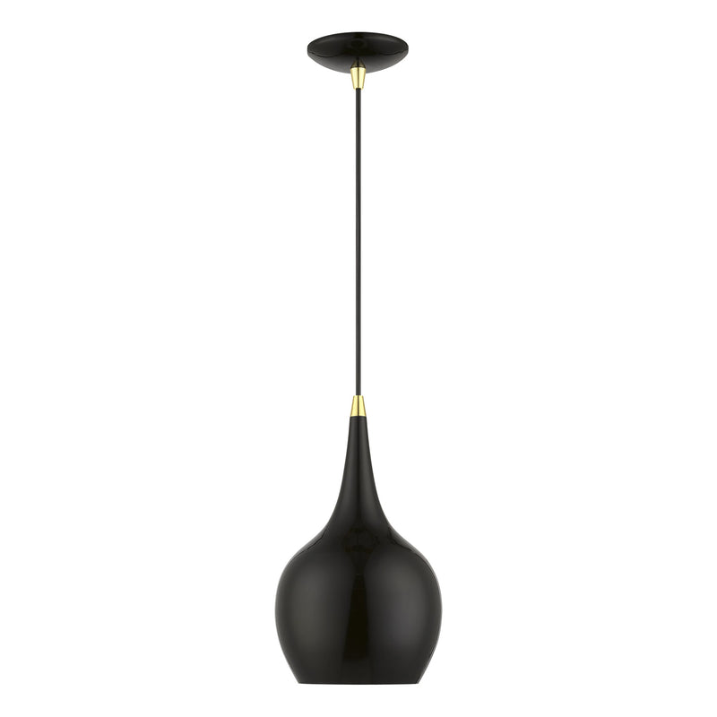 Andes Mini Pendant in Shiny Black with Polished Brass Accents