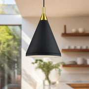 Dorothy 10" Pendant in Brushed Nickel With Black Detail