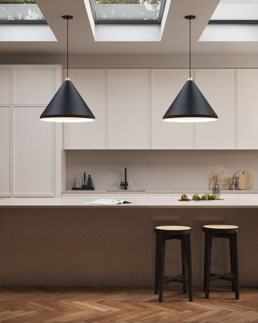 Dorothy 24" Pendant in Brushed Nickel With Black Detail