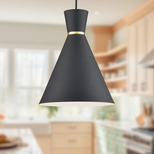 Vanderbilt 10" Pendant in Black With Gold Detail
