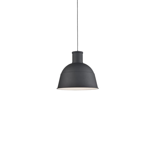 Irving 13" Pendant in Black