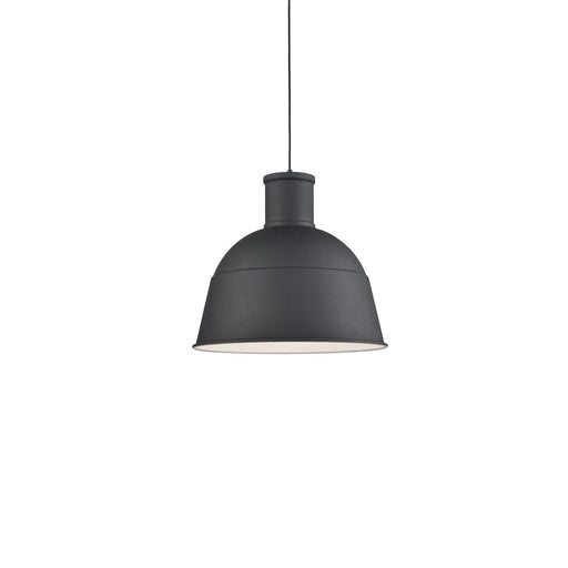 Irving 16" Pendant in Black