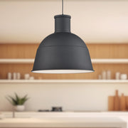 Irving 16" Pendant in Black