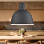Irving 22" Pendant in Black