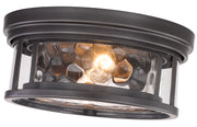 Clarion 2 Light 12" Flush Mount in Bronze