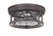 Clarion 2 Light 12" Flush Mount in Bronze