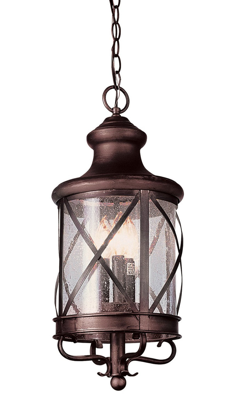 Chandler 3-Light 9" Outdoor Hanging Lantern in Rubbed Oil Bronze