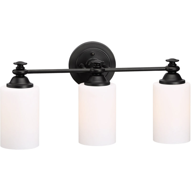 Dardyn 3 Light 21.5" Vanity in Espresso