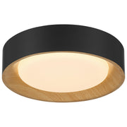Maddy Small LED Flush Mount in Matte Black
