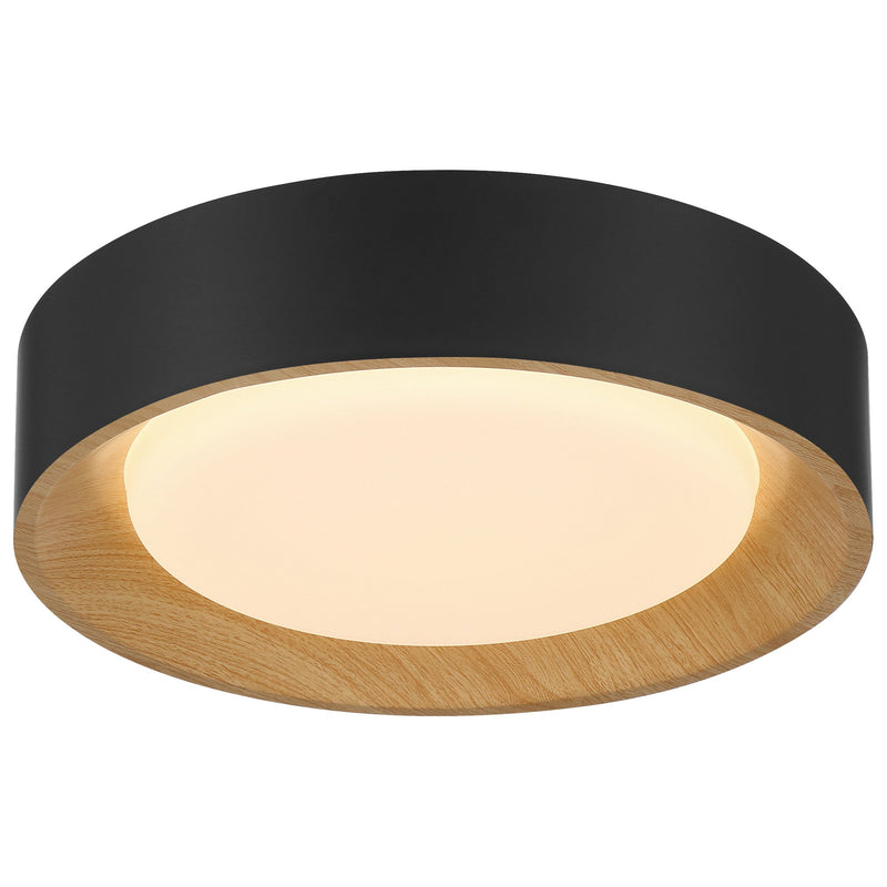 Maddy Small LED Flush Mount in Matte Black