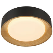 Maddy Small LED Flush Mount in Matte Black