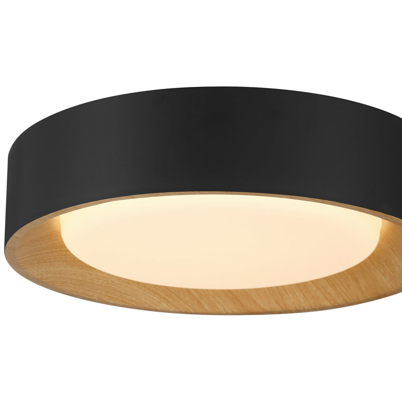 Maddy Small LED Flush Mount in Matte Black