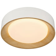 Maddy Small LED Flush Mount in Matte White