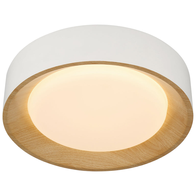 Maddy Small LED Flush Mount in Matte White