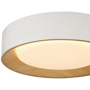 Maddy Small LED Flush Mount in Matte White