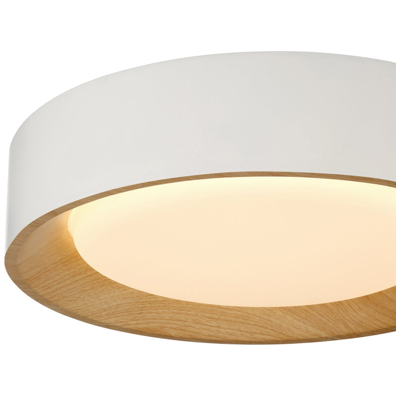 Maddy Small LED Flush Mount in Matte White