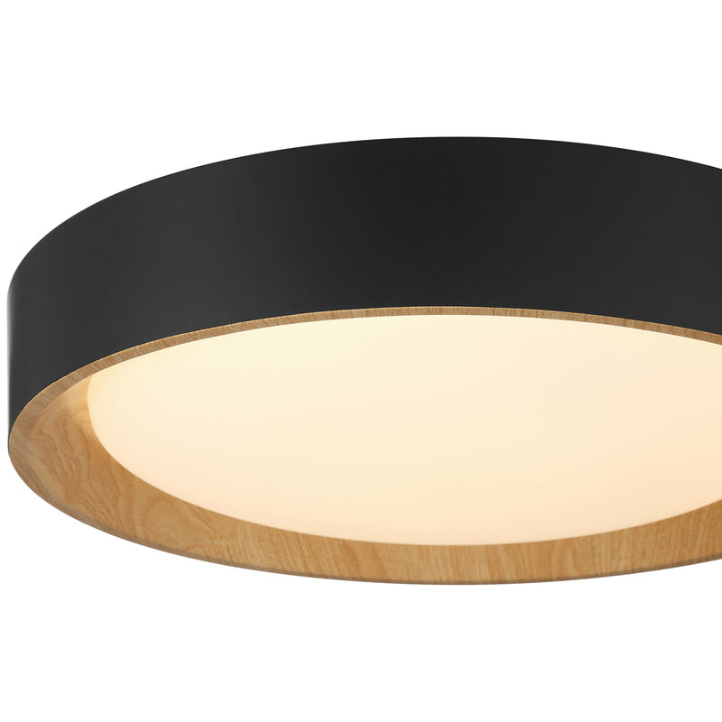 Maddy Large LED Flush Mount in Matte Black