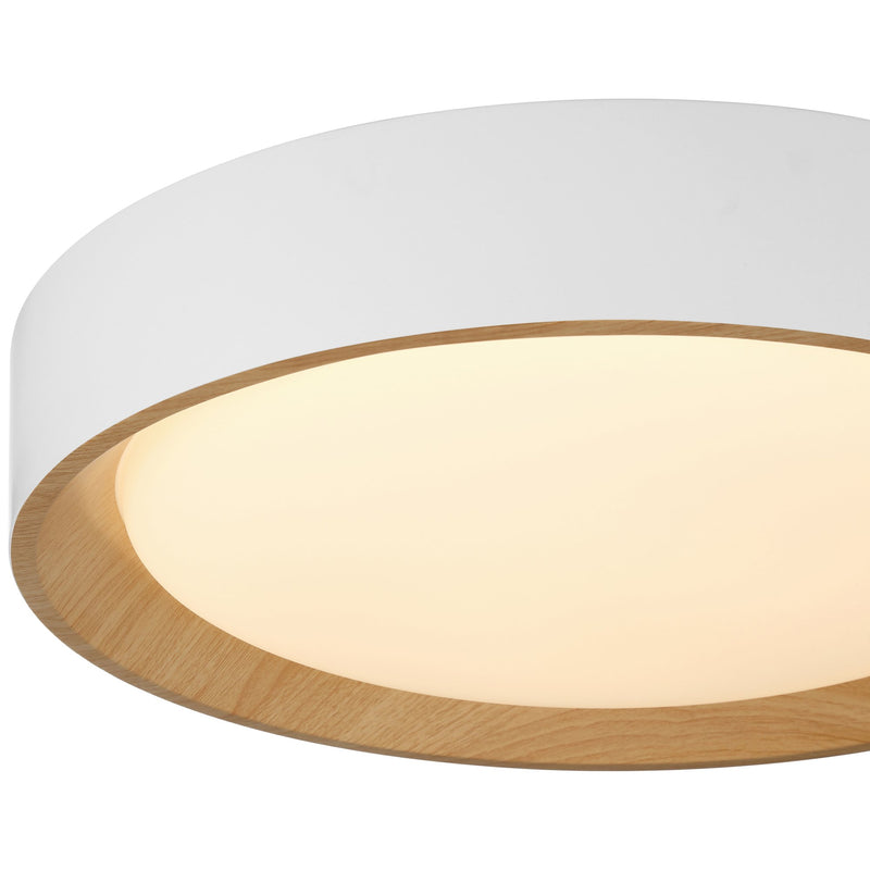 Maddy Large LED Flush Mount in Matte White