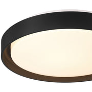 Lumea LED Flush Mount in Matte Black