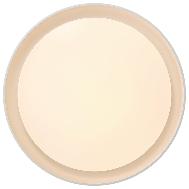 Lumea LED Flush Mount in Matte White