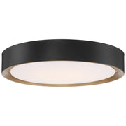 Malaga Color Selectable 19.75" Flush Mount in Matte Black