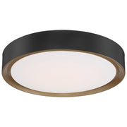 Malaga Color Selectable 19.75" Flush Mount in Matte Black