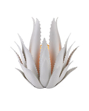 Agave Wall Sconce in Gesso White