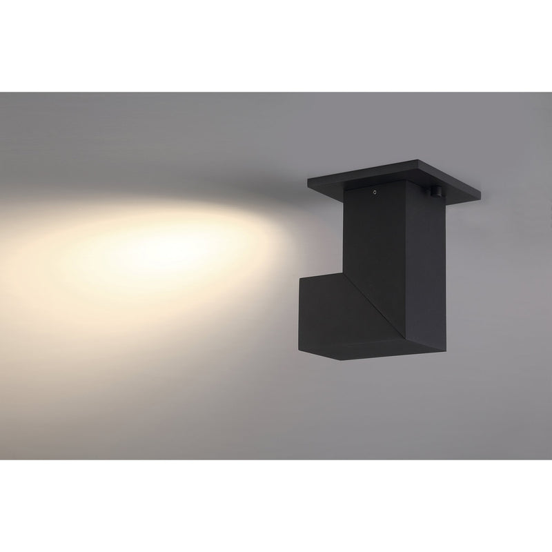 Transformer Dual Voltage LED Spotlight Flush Mount in Black