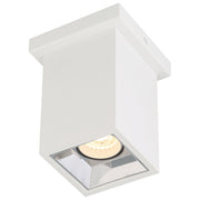 I-Lite Adjustable Spotlight Flush Mount in White