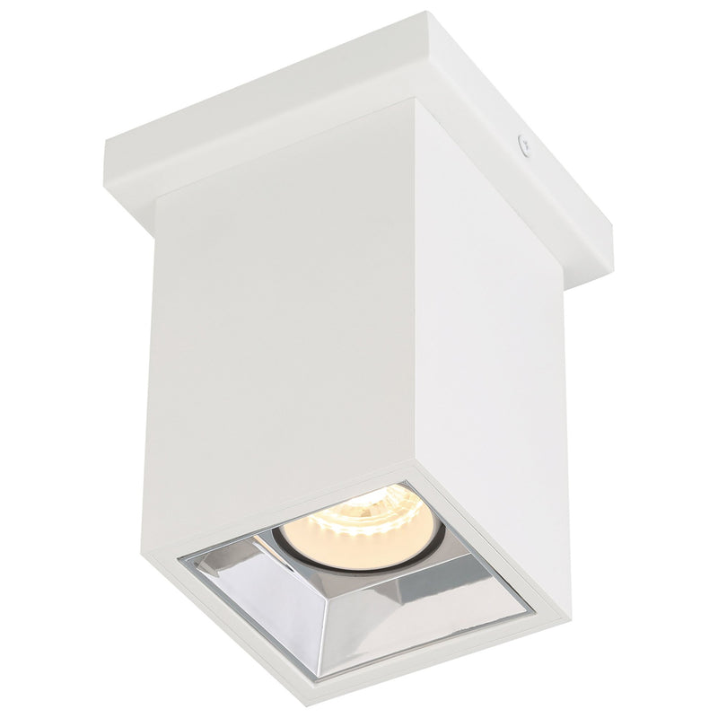 I-Lite Adjustable Spotlight Flush Mount in White