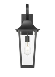 Gannon 1 Light 8" Outdoor Wall Light in Black