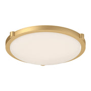 Floyd 17" Flush Mount in Brushed Gold