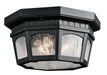 Courtyard Outdoor Ceiling Light 3-Light in Textured Black