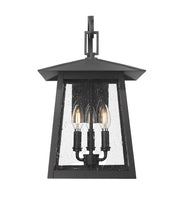 Rainer 3 Light 11.5" Outdoor Wall Light in Black