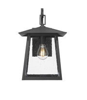 Rainer 1 Light 9.5" Outdoor Wall Light in Black