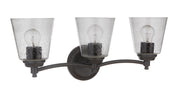 Tyler 3 Light 22.5" Vanity in Flat Black