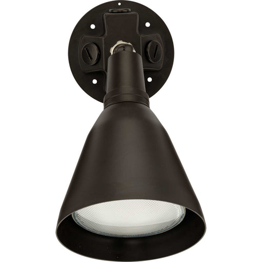 Par Lampholder Adjustable Outdoor Flood Light in Antique Bronze