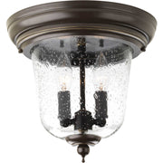 Ashmore 2-Light Close-to-Ceiling - Lamps Expo