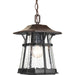 Derby One Light Hanging Lantern in Espresso