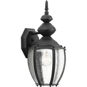 Roman Coach Medium Outdoor Wall Lantern in Black