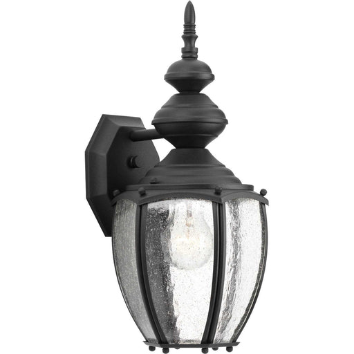 Roman Coach Medium Outdoor Wall Lantern in Black