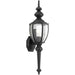 Roman Coach One Light Wall Lantern in Black