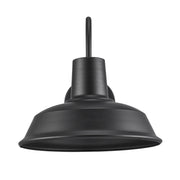 Tacoma 12.5" Outdoor Wall Light in Black