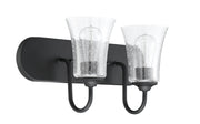 Gwyneth 2 Light 18" Vanity in Flat Black