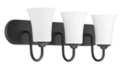 Gwyneth 3 Light 24" Vanity in Flat Black