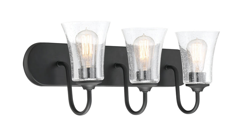 Gwyneth 3 Light 24" Vanity in Flat Black