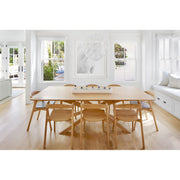 Broche 6 Light 21" Chandelier in Matte White in a room setting