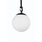 Orion 1 Light 6" Mini Pendant in Flat Black