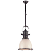 Country Industrial One Light Pendant in Bronze